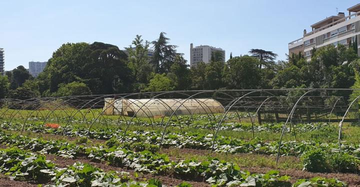 Sauvons les Charmerettes avec France Nature Environnement