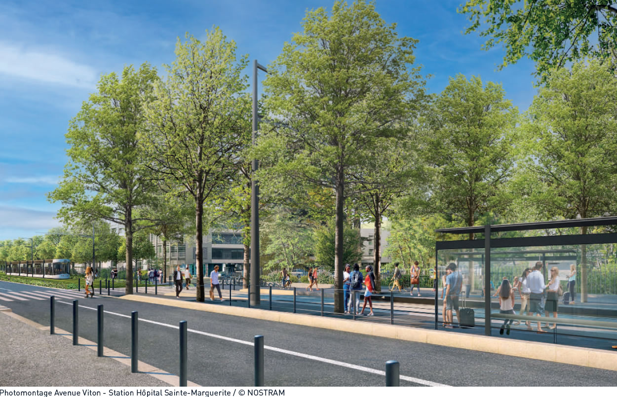 L'avenue Viton se transforme et se prépare à l'arrivée du tramway