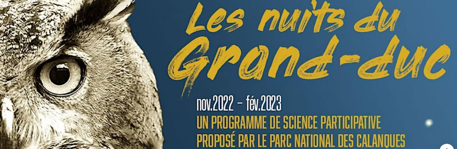 Les Nuits du Grand Duc au Parc National des Calanques