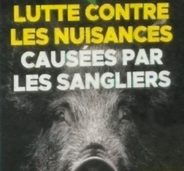 Contre les nuisances causées par les sangliers